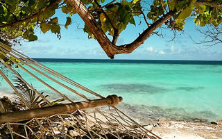 Náhled objektu Eriyadu Island Resort, Maledivy, Maledivy, Indický oceán