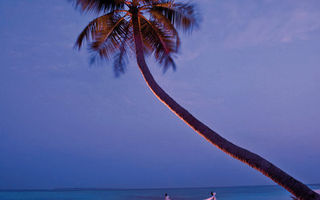 Náhled objektu Hilton Irufushi Resort & Spa, Maledivy, Maledivy, Indický oceán