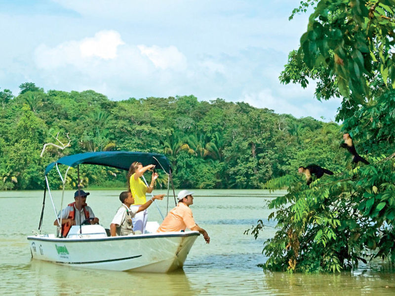 Gamboa Rainforest