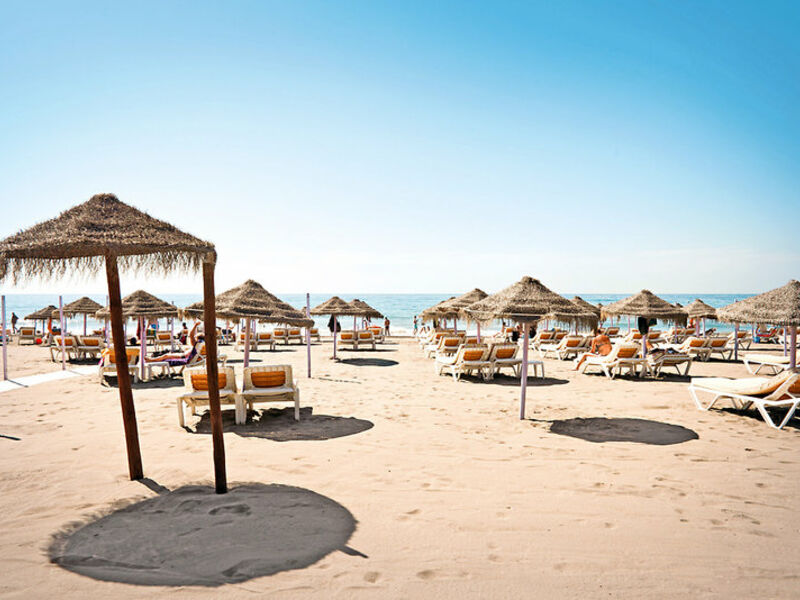 IBS Malaga Playa, unlimited