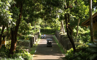 Náhled objektu Alila Ubud, Ubud, Bali, Asie