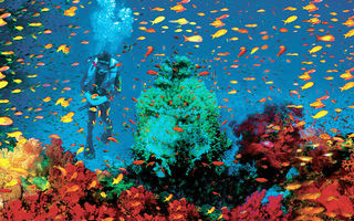 Náhled objektu Flamenco Beach Resort, El Quseir, Marsa Alam, Quseir, Egypt