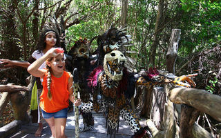 Náhled objektu Flitter Sandos Caracol, Playa Del Carmen, Yucatan, Cancun, Střední Amerika