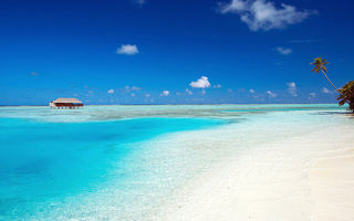 Náhled objektu Medhufushi Island Resort, atol Mulakatholhu (Meemu), Maledivy, Indický oceán