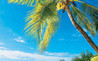 Náhled objektu Merville, Grand Baie, Mauricius (Mauritius), Indický oceán
