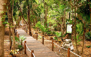 Náhled objektu Sandos Caracol Eco Resort, Playa Del Carmen, Yucatan, Cancun, Střední Amerika