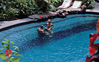 Náhled objektu Tjampuhan, Ubud, Bali, Asie