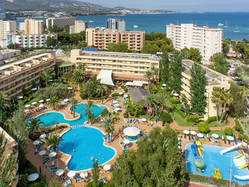 Aparth. Viva Palma Nova Typ A1