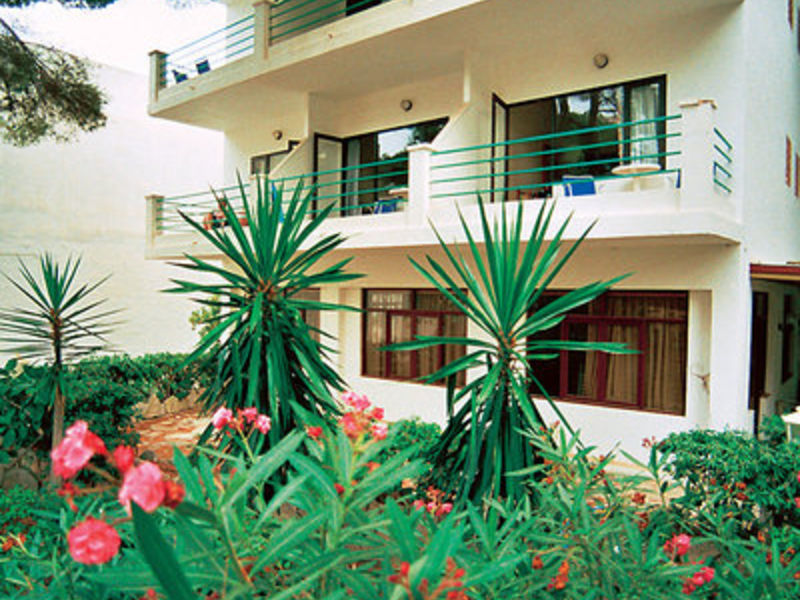 Flacalco Garden, DZ