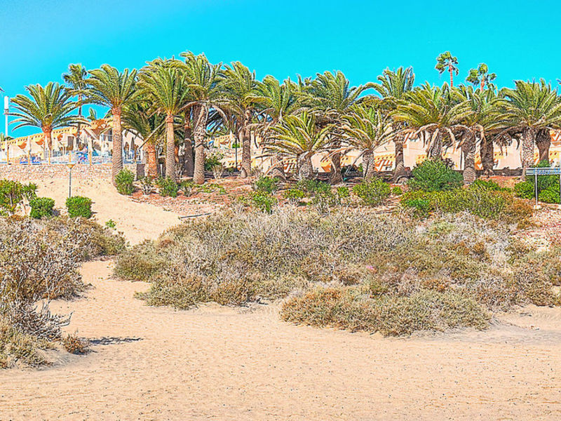 Monica Beach, App.