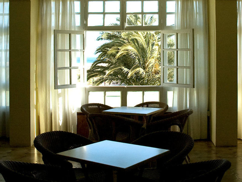 Palm Garden