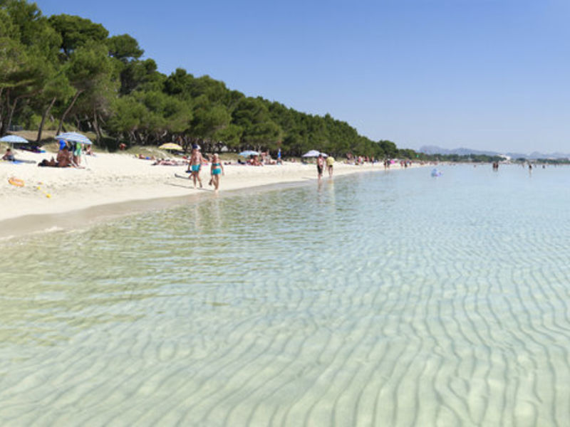 Sol Alcudia Center