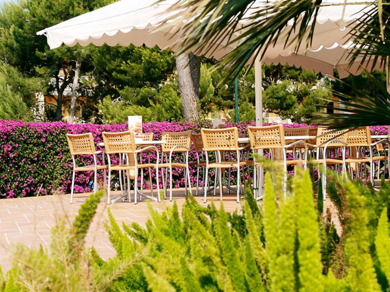 Viva Mallorca & Spa