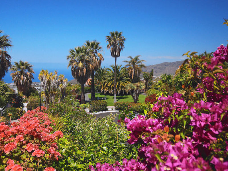 La Palma Jardin, Typ B1