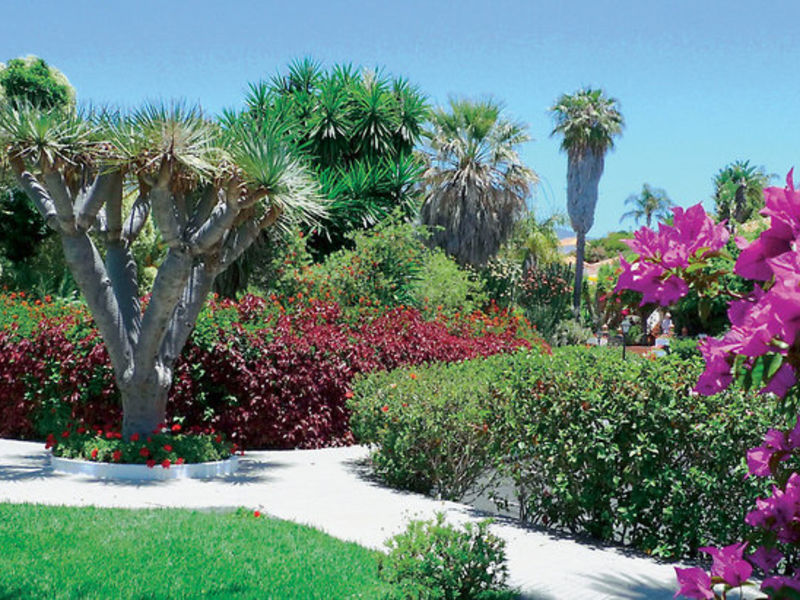La Palma Jardin, Typ B1