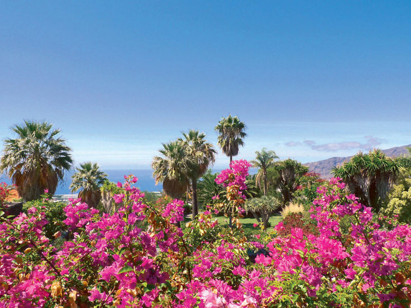 La Palma Jardin, Typ B1