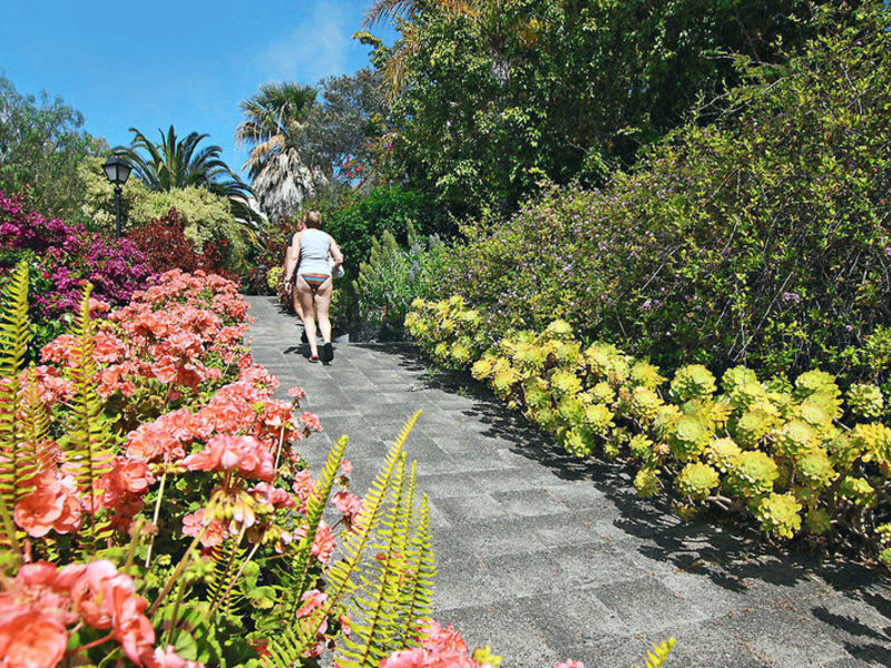 La Palma Jardin, V2 Superior