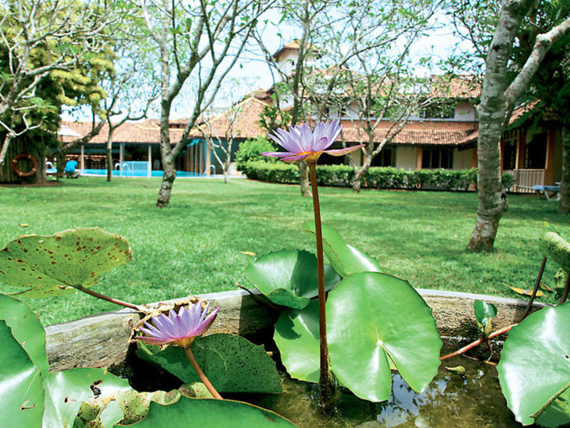 Aida Ayurveda Hotel & Spa