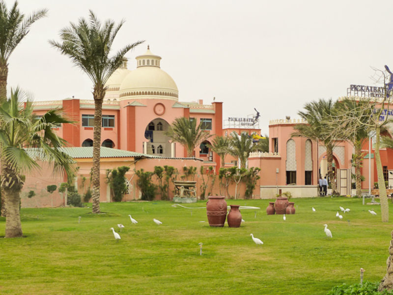 Albatros Garden