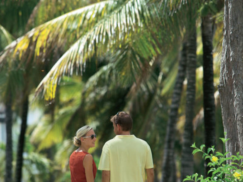 Ambre Mauritius