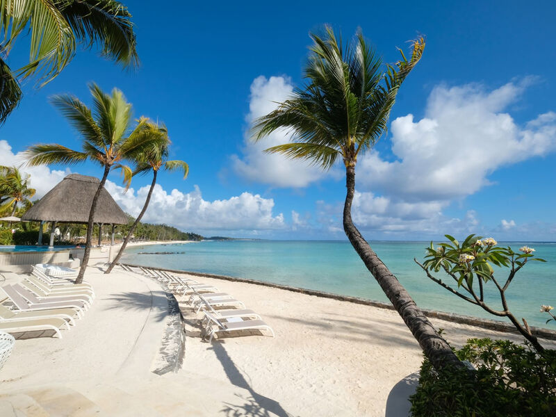 Ambre Mauritius