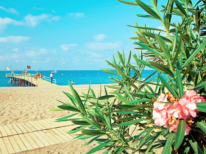 Amelia Beach Resort & SPA