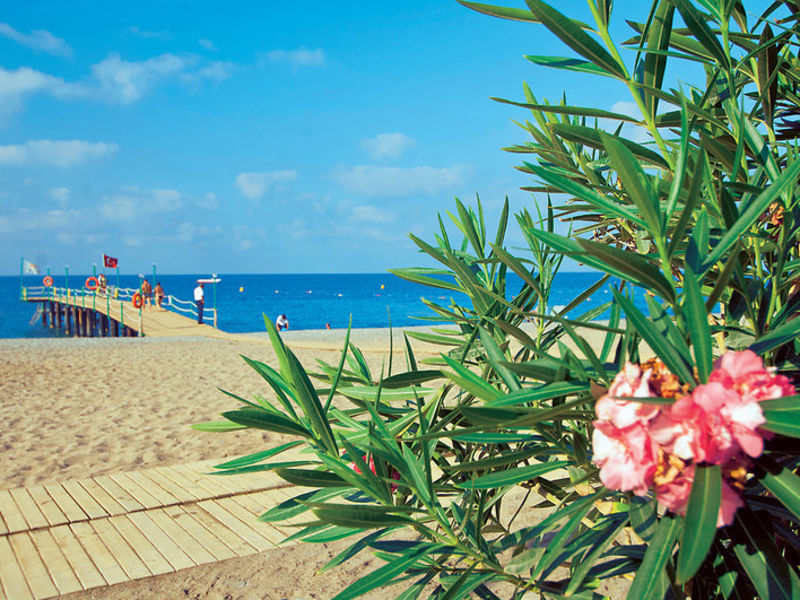 Amelia Beach Resort & SPA