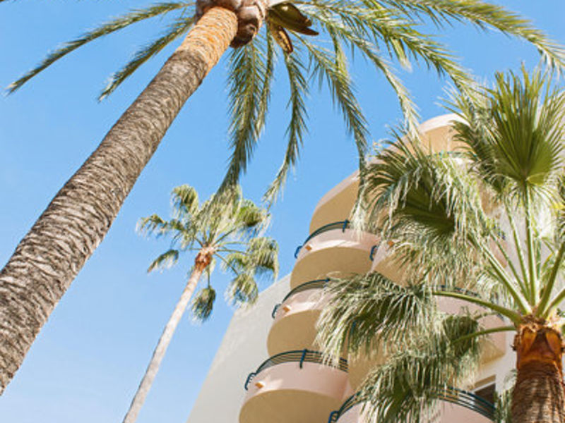 App. Alcudia Beach, typ S