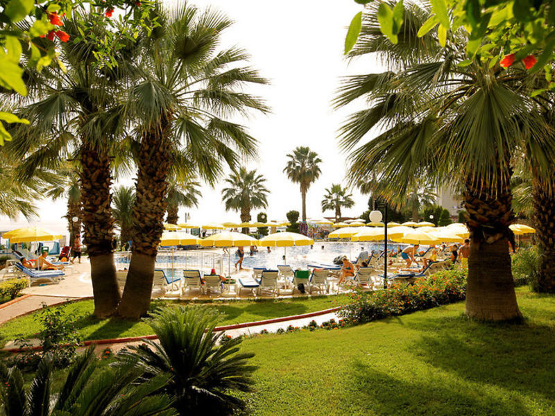 Aska Buse Resort