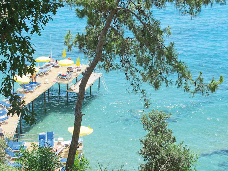 Aska Buse Resort