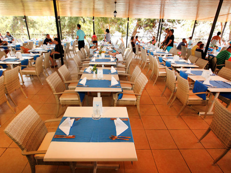 Aska Buse Resort