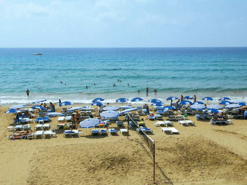 Aska Buse Resort