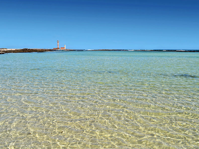 Atlantis Fuerteventura