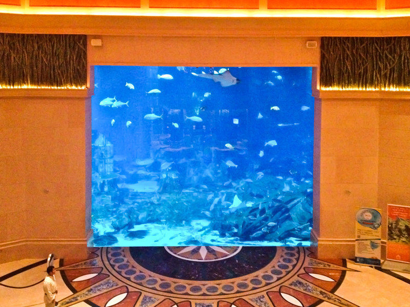 Atlantis, The Palm