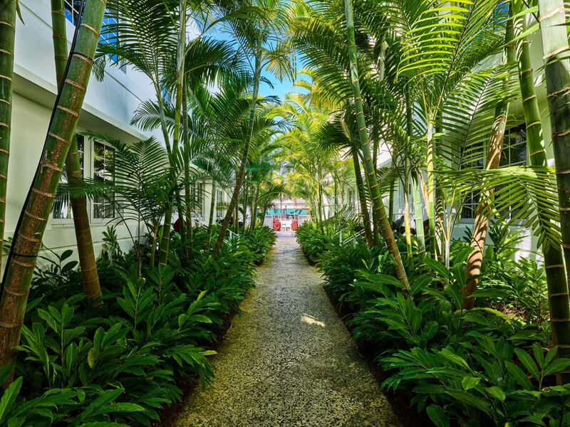 Axelbeach Miami