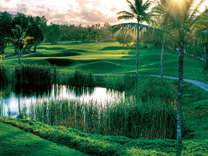 Barcelo Bavaro Beach Reso