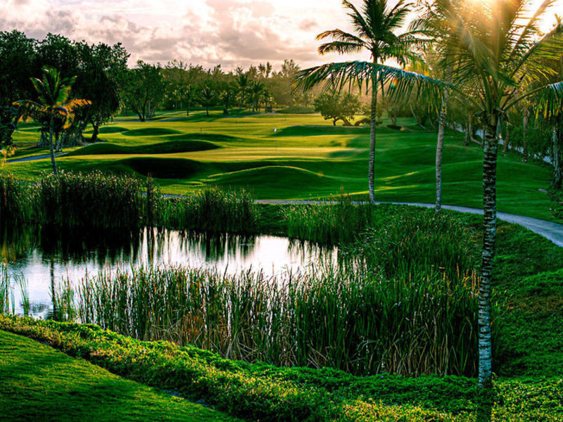 Barcelo Bavaro Beach Reso