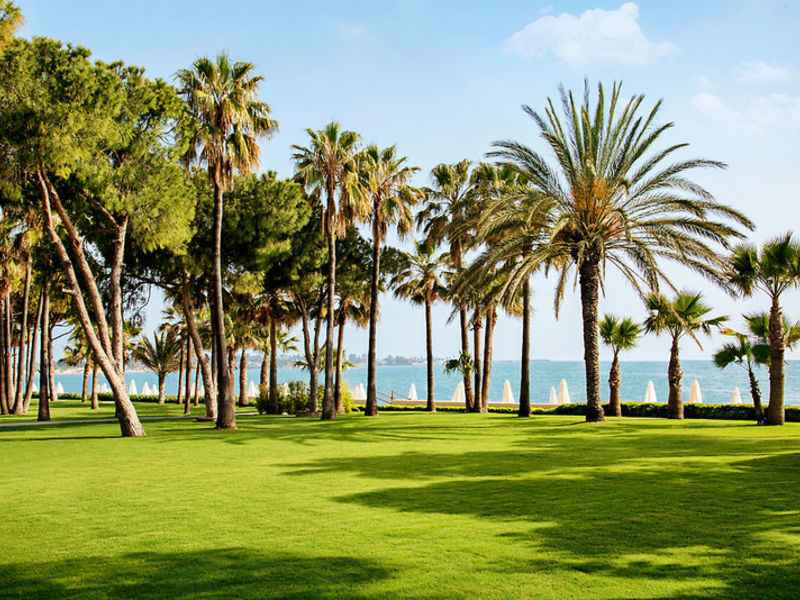 Barut Acanthus & Cennet