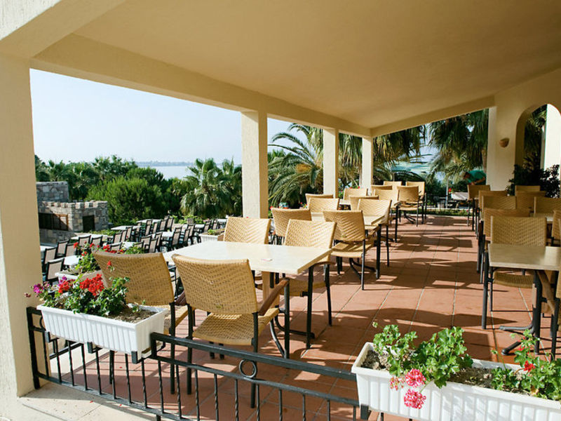 Barut Arum