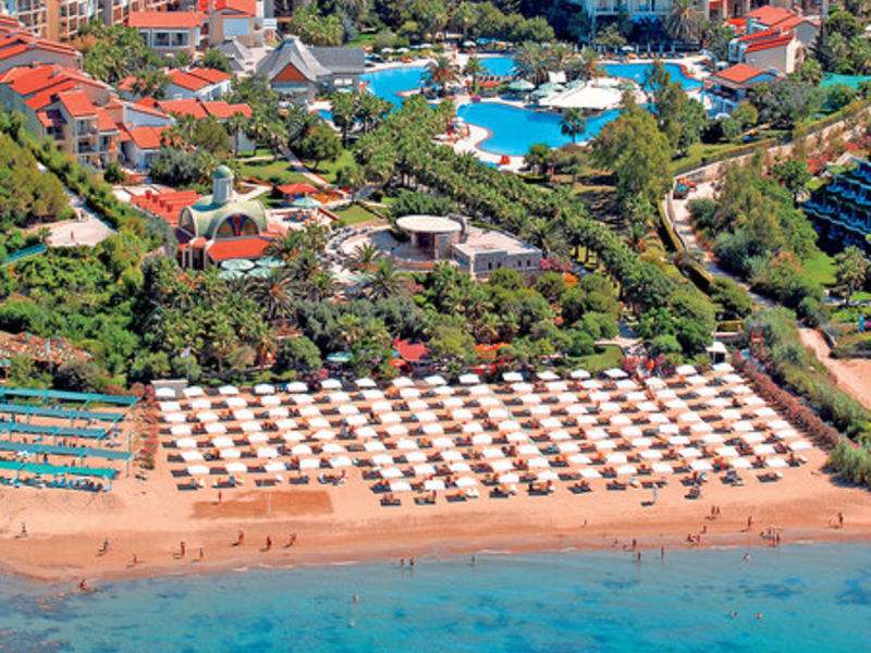 Barut Arum