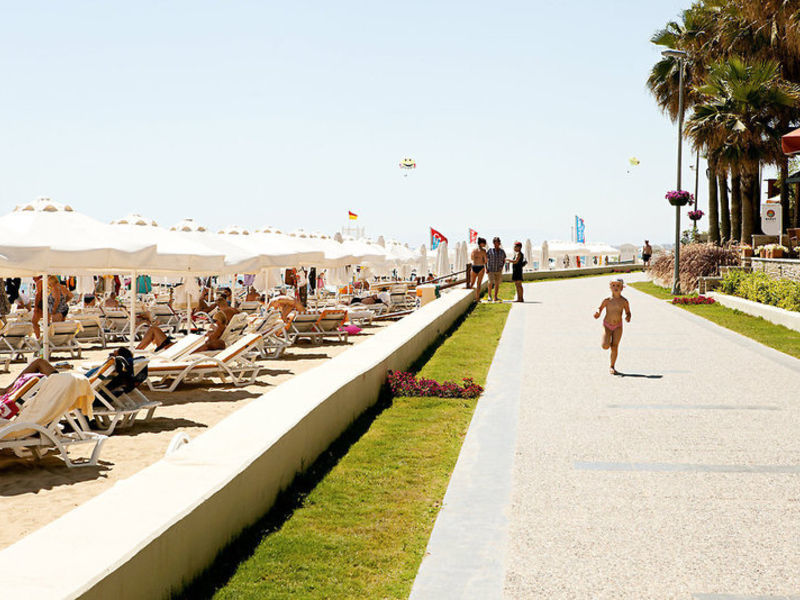Barut Arum