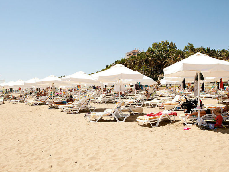 Barut Arum