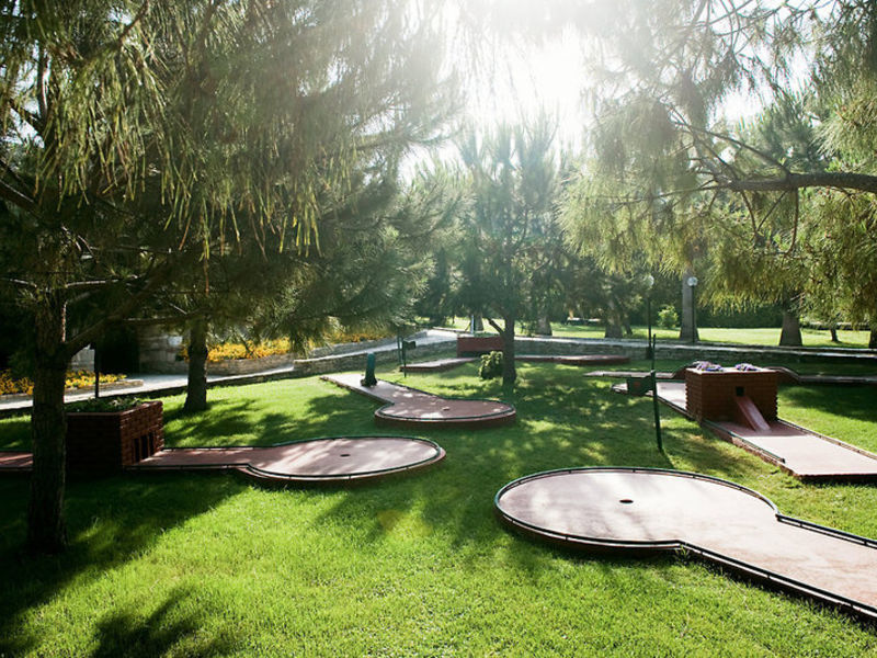 Barut Arum
