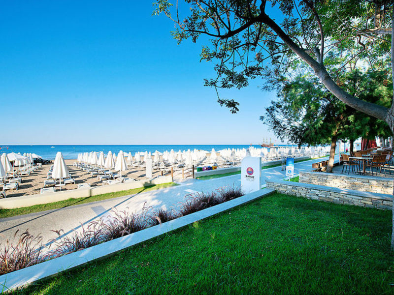 Barut Arum