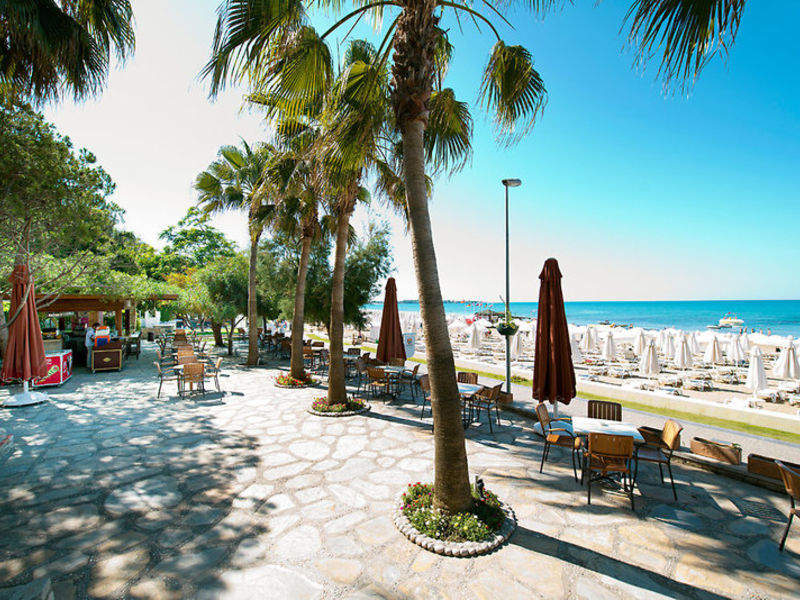 Barut Arum