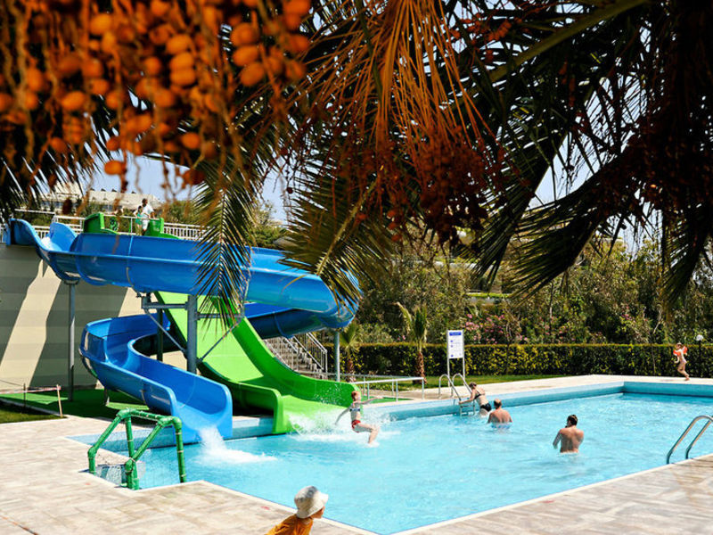 Barut Arum