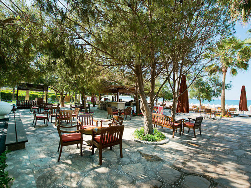 Barut Arum