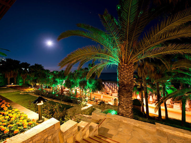 Barut Arum