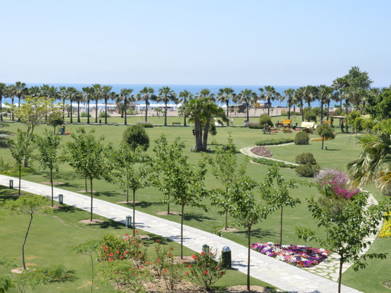 Barut Lara