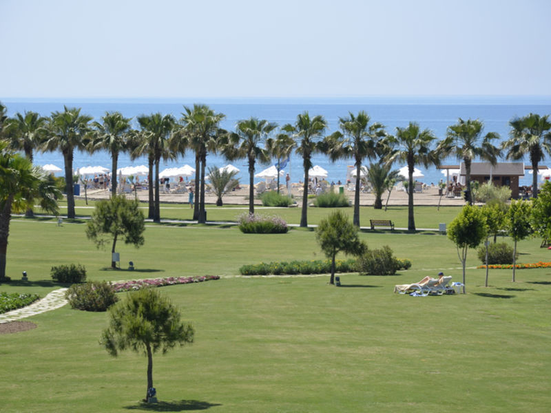 Barut Lara